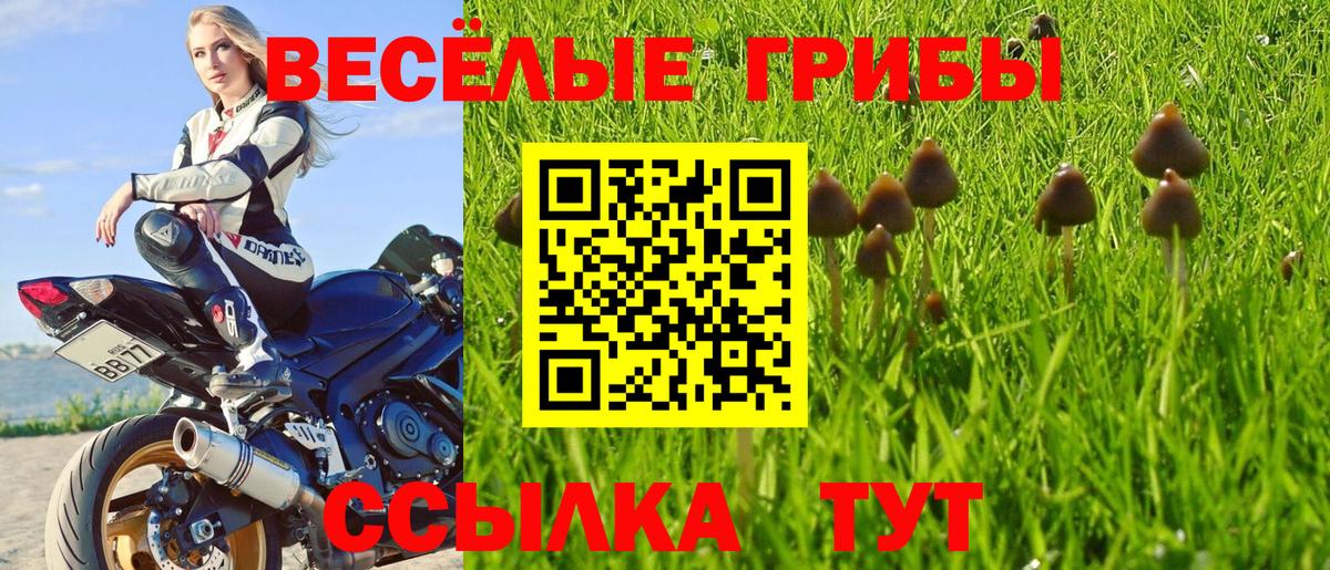 Саянск  Псилоцибиновые грибы MAGIC MUSHROOMS  Псилоцибиновые грибы Psilocybe  Вход с VPN 